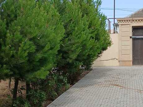 Abşeronda 9 otaqlı həyət evi satılır, 300 m², 350 000 AZN, şəkil 2 / 12
