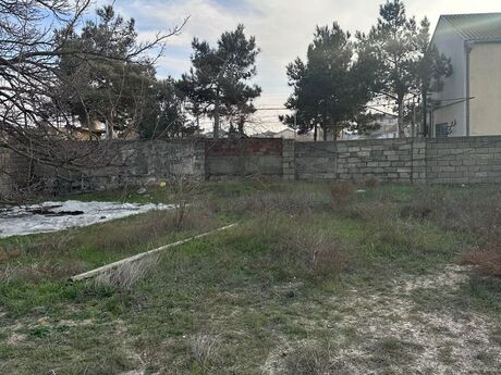 Torpaq - Novxanı q. - 3 sot