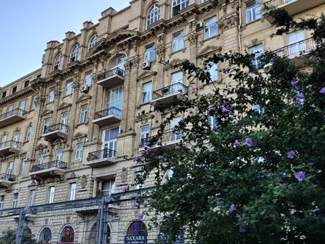 Объявление №5789771 - Баку, м. Ичеришехер, 290 м²
