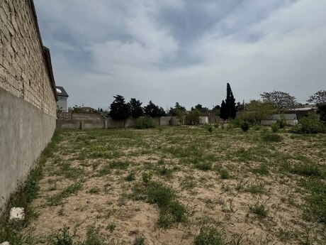 Объявление №5790786 - Баку, пос. Бадамдар, 9 сот