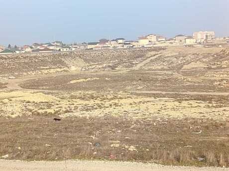 Torpaq - Saray q. - 4 sot
