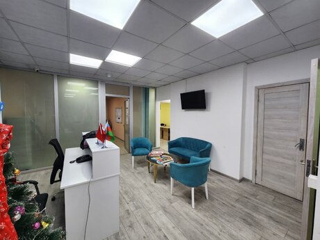 Объявление №5794011 - Баку, м. Низами, 7-комн., 380 м²