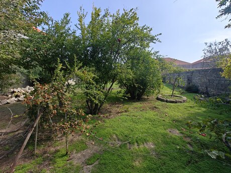 Torpaq - Pirşağı q. - 6 sot