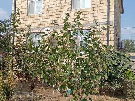 4 otaqlı həyət evi/bağ evi - Mehdiabad q. - 160 m²