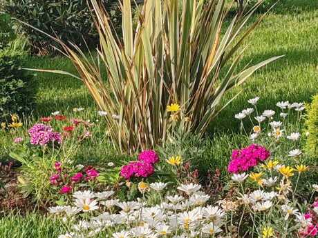 Elan №5795980 - Bakı, Novxanı q., 5 otaqlı, 360 m²