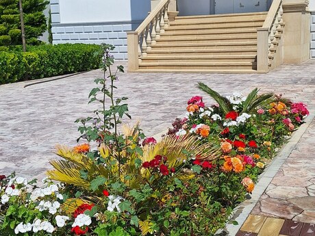 7 otaqlı həyət evi/bağ evi - Mərdəkan q. - 530 m²