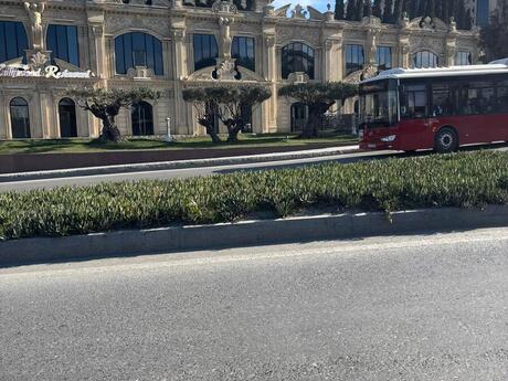 Объявление №5800758 - Баку, м. Азадлыг проспекти, 4-комн., 160 м²