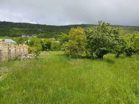 Torpaq - Şamaxı - 12 sot