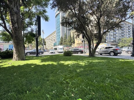 3 otaqlı köhnə tikili - Gənclik m. - 75 m²