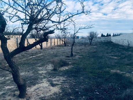 Объявление №5802666 - Баку, пос. Масазыр, 9.5 сот