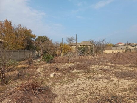 Elan №5803855 - Bakı, Novxanı q., 9 sot