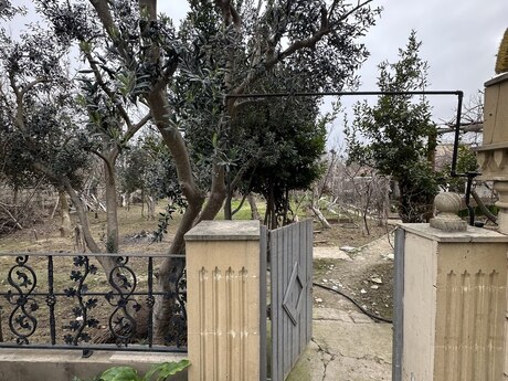 Elan №5804020 - Bakı, Buzovna q., 5 sot