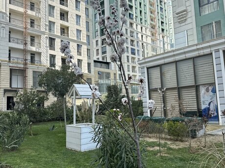 4 otaqlı yeni tikili - Nəriman Nərimanov m. - 177.9 m²