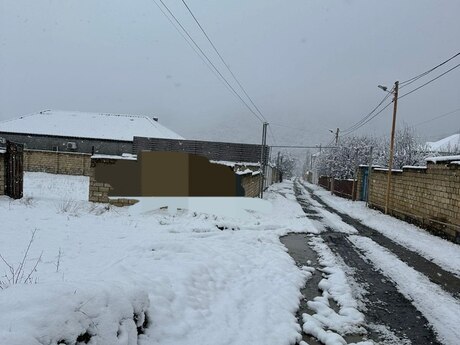 Объявление №5806184 - Габала, Габала, 7 сот