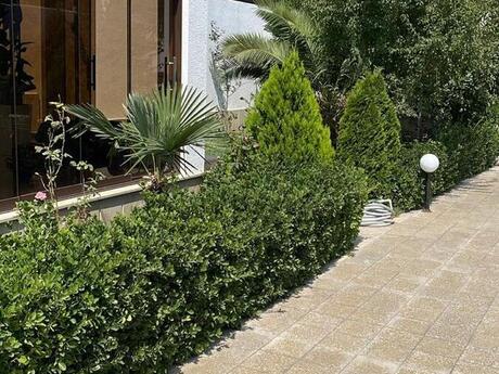 4 otaqlı həyət evi/bağ evi - Mərdəkan q. - 200 m²
