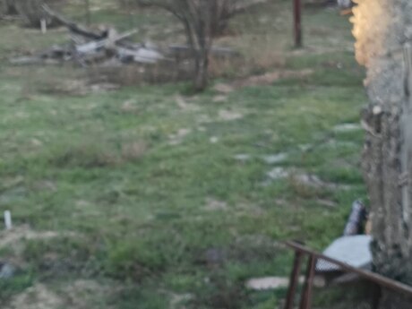 Elan №5810447 - Bakı, Novxanı q., 3 sot