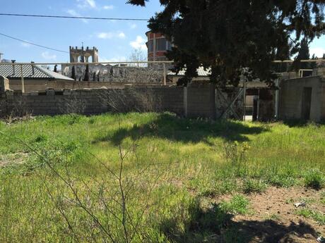 Объявление №5812199 - Баку, пос. Бильгях, 23 сот