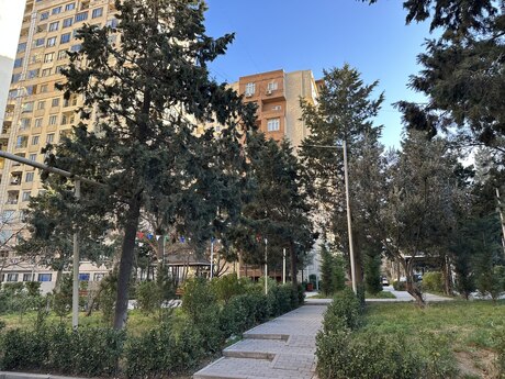 Elan №5812365 - Bakı, Azadlıq Prospekti m., 3 otaqlı, 77 m², 7/9 mərtəbə