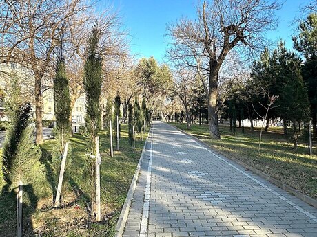 4 otaqlı köhnə tikili - Nəsimi r. - 160 m²