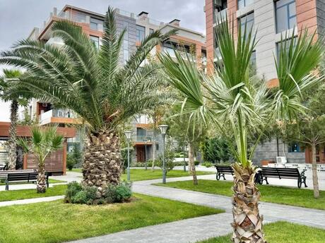 2 otaqlı yeni tikili - Səbail r. - 85 m²