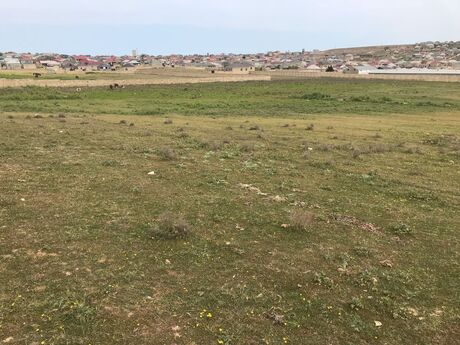 Объявление №5819102 - Баку, пос. Ашагы Гюздек, 544 сот