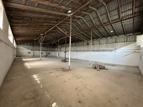Obyekt - Şamaxı - 52000 m²