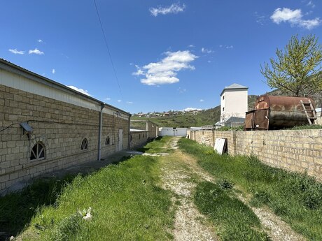 Obyekt - Şamaxı - 52000 m²