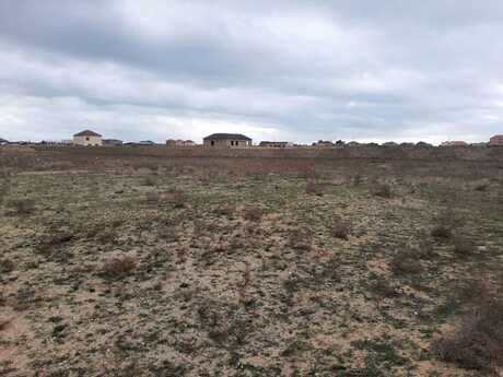 Объявление №5823299 - Баку, пос. Тюркан, 219 сот