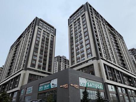 Объявление №4840140 - Баку, м. Шах Исмаил Хатаи, 690.9 м²