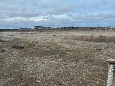 Объявление №5824991 - Баку, пос. Зире, 100 сот