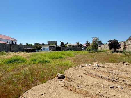 Объявление №5825280 - Баку, пос. Мардакан, 100 сот