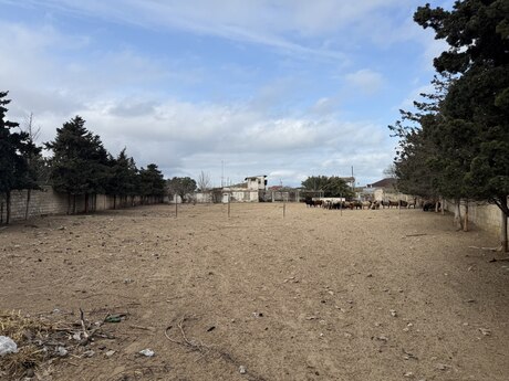 Объявление №5830844 - Баку, пос. Бузовна, 32 сот