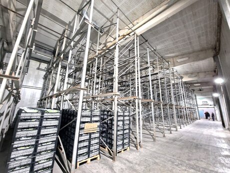 Obyekt - Abşeron r. - 350 m²