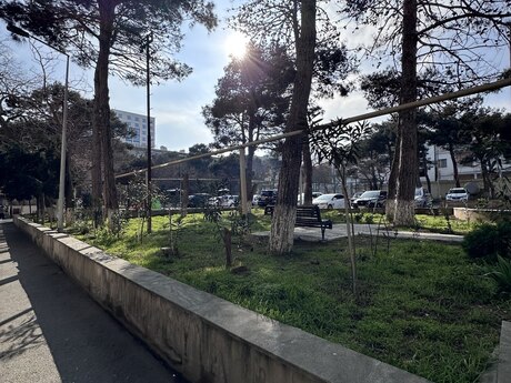 Объявление №5837208 - Баку, пос. Ясамал, 4-комн., 110 м², 2/5 этаж