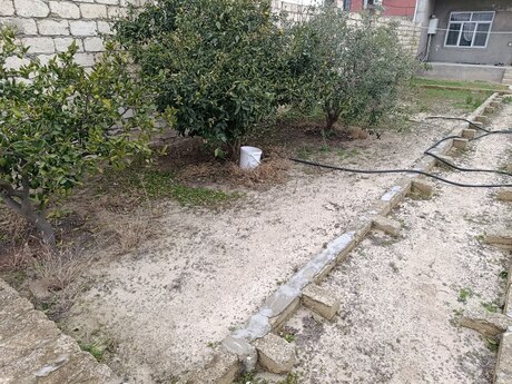 3 otaqlı həyət evi/bağ evi - Novxanı q. - 120 m²