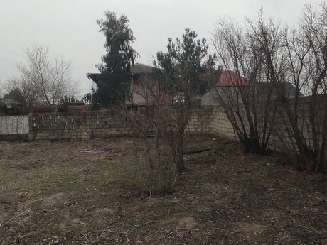 Torpaq - Novxanı q. - 3 sot