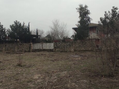 Torpaq - Novxanı q. - 3 sot