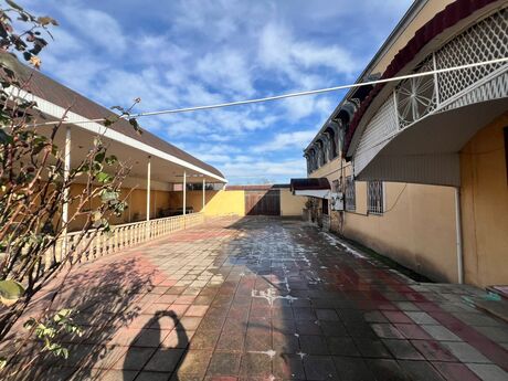 5 otaqlı həyət evi/bağ evi - Tovuz - 310 m²