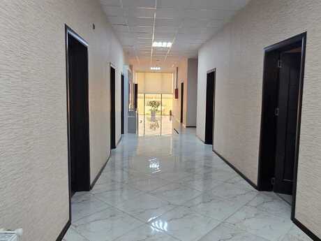 Obyekt - Puta q. - 1000 m²