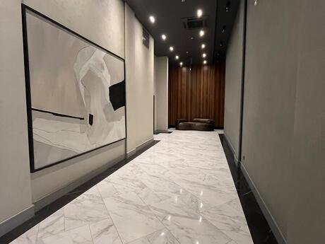 5 otaqlı yeni tikili - Ağ şəhər q. - 396 m²