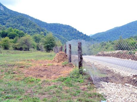 Объявление №5845829 - Губа, Губа, 80 сот