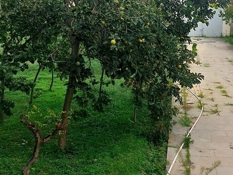 12 otaqlı həyət evi/bağ evi - Novxanı q. - 400 m²