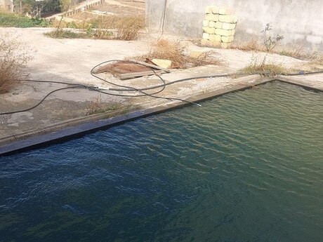5 otaqlı həyət evi/bağ evi - Novxanı q. - 200 m²