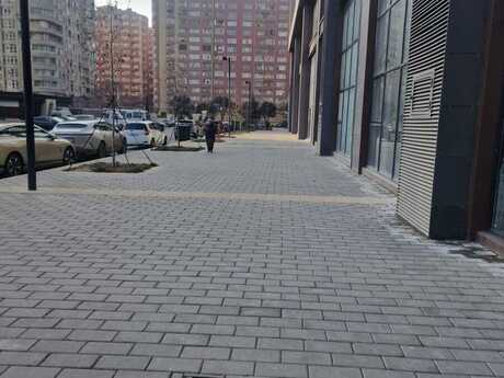 Obyekt - Şah İsmayıl Xətai m. - 301 m²