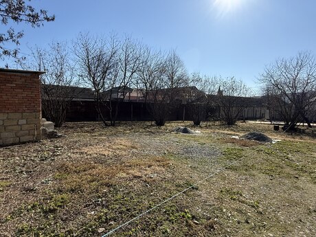 Elan №5853770 - İsmayıllı, İsmayıllı, 2.9 sot