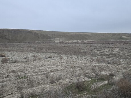 Elan №5854537 - Bakı, Pirəkəşkül q., 506 sot