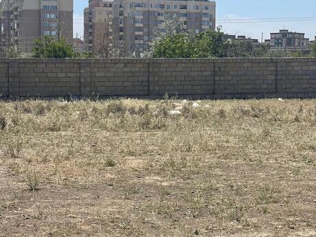 Объявление №5854524 - Баку, Абшеронcкий  р., 300 сот