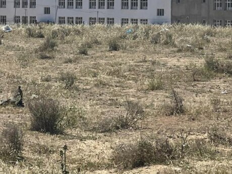 Объявление №5855073 - Баку, Наримановский  р., 34 сот