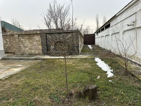5 otaqlı həyət evi/bağ evi - Qəbələ - 160 m²