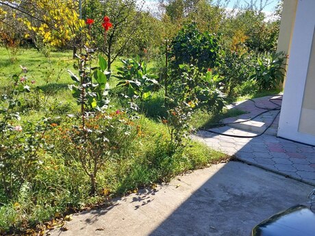 8 otaqlı həyət evi/bağ evi - Xudat - 200 m²